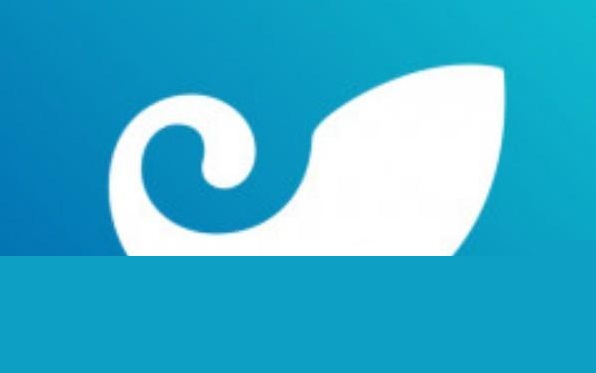 提币到imtoken不到账